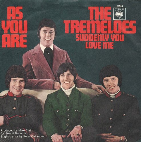The Tremeloes / As You Are 7″